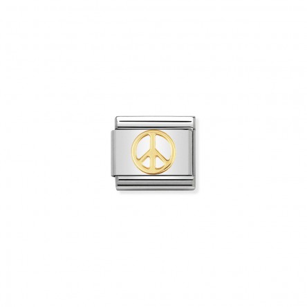 Peace Charm