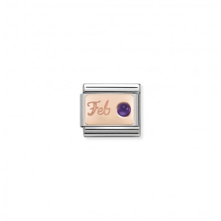 February Amethyst Charm