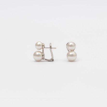 Classic Earrings