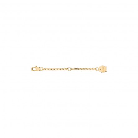 Extensor Colar Neckmess Dourado