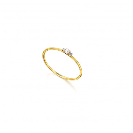 18K Gold Ring with Diamond 0,02ct
