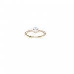 Anel Oval I Ouro 18K