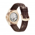 Automatic Brown Watch