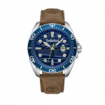 Brown Carrigan Watch