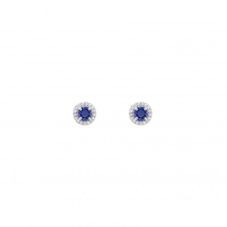 Blue Royal Colors Earrings