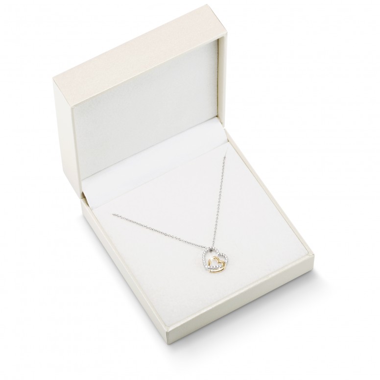 Double Heart Bicolor Necklace