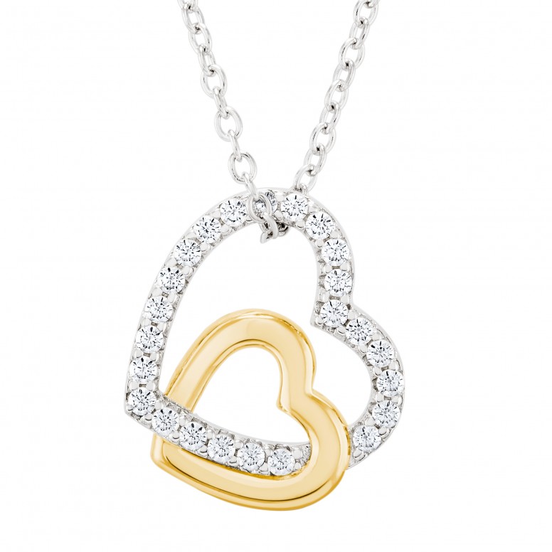 Double Heart Bicolor Necklace