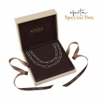 Collar Silver & Gold Oval Links Special Box