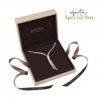 Collar Shiny Silver Special Box