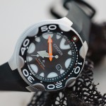Promaster Divers Black Watch
