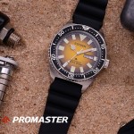 Promaster Black Watch