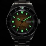 Promaster Divers Silver Watch