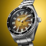 Promaster Divers Silver Watch