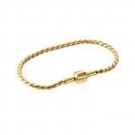 Pulsera Energy Master Twisted Gold