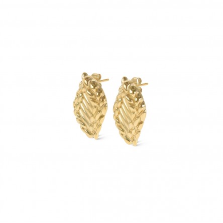 Celebration Gold Earrings