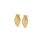 Celebration Gold Earrings