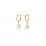 Pearly Hoops Gold Earrings