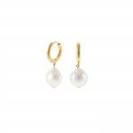 Pearly Hoops Gold Earrings