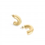 Golden Glow Earrings