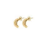 Delightful Golden Earrings