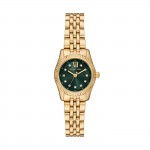 Reloj Lexington Dorado