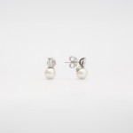 Auva Silver Earrings