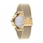 Gold Steel Watch