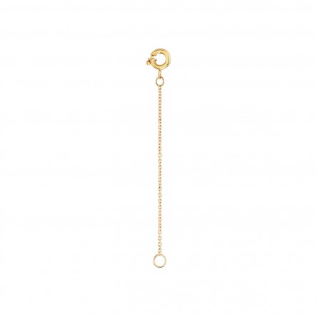 Extenso Ouro Amarelo 18K II 4cm