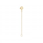 18K Yellow Gold Extension II 4cm