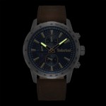 Brown Kennebunk Watch