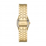 Harlow Gold Watch