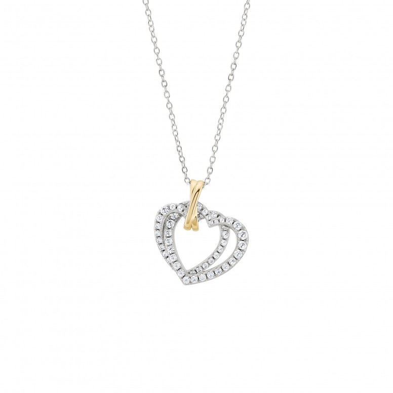 Double Heart Bicolor Necklace