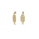 Charming Long Gold Earrings