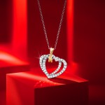 Double Heart Bicolor Necklace