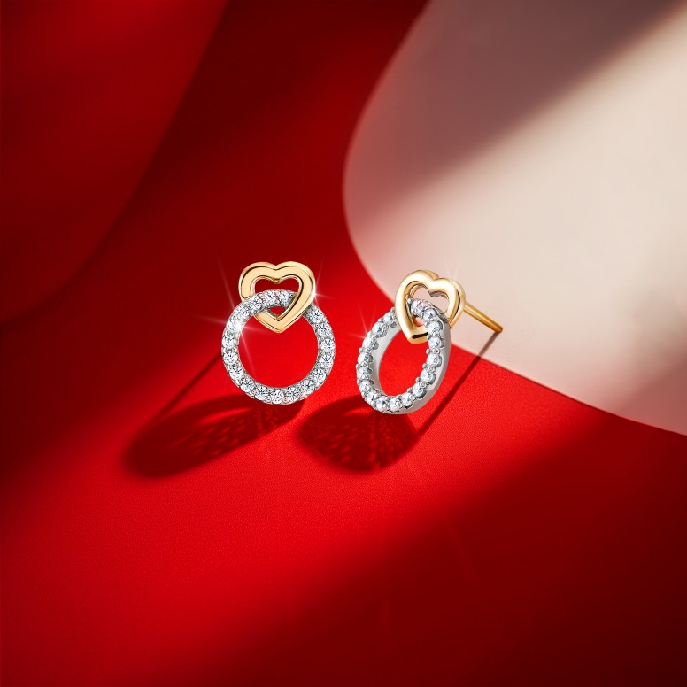 Circle & Heart Bicolor Earrings