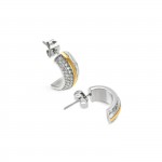 Delightful Bicolor Earrings