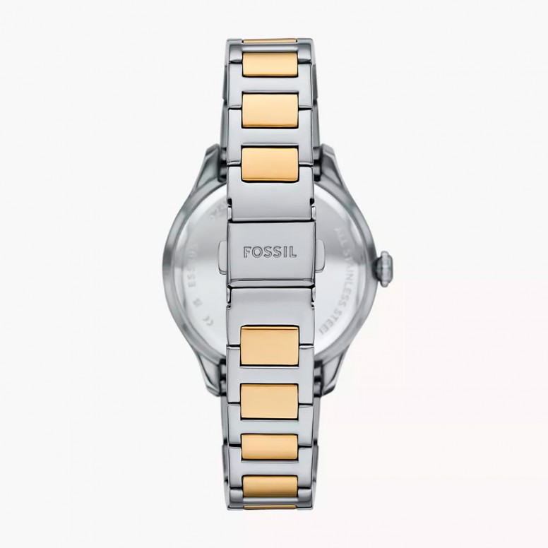 Gilmore Bicolor Watch