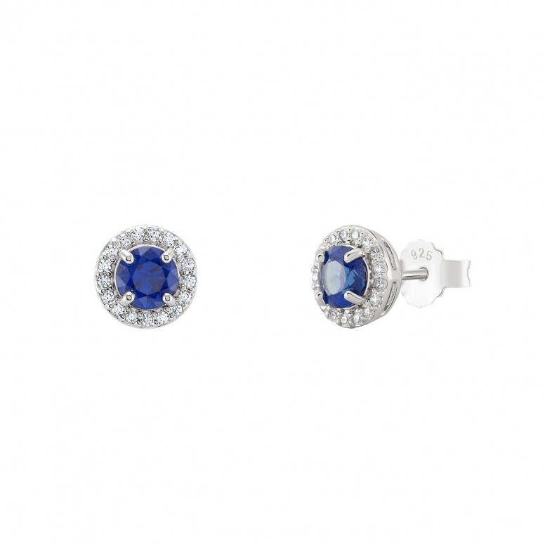 Blue Royal Colors Earrings
