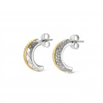 Delightful Bicolor Earrings