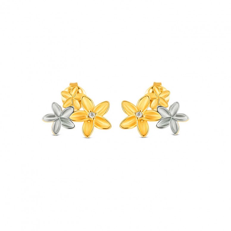 Pendientes Fleur Bicolor