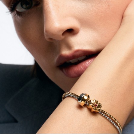 Charm Story Energy for Life Embrace Bicolor