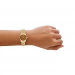 Lexington Brown Watch