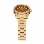 Lexington Brown Watch