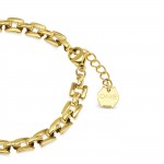 Pulsera Charming Link Gold