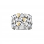 Anillo Paris VII