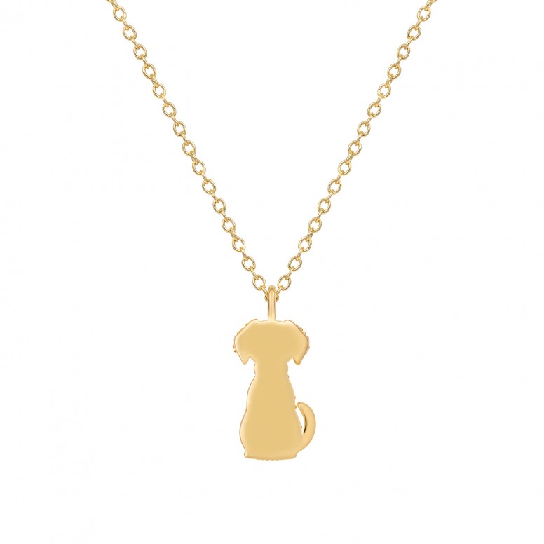 Colar Pet Dog