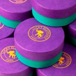 Brincos Brigth Flower