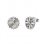 Toscana VII Earrings