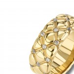 Delightful Golden Ring