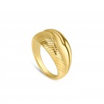 Pliss� Golden Ring